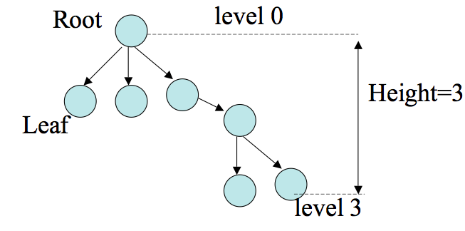 An image illustrating the parts of a tree