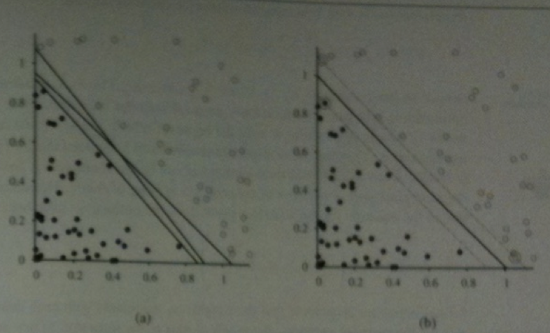 Separators for traditional perceptron model (a) and SVM model (b)