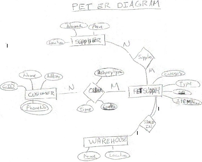 Pet ER Diagram
