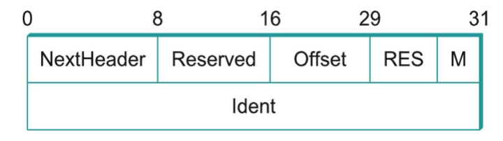 IPv6 Fragmentation Extension Header