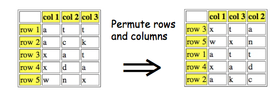 Double Transposition Cipher Matric