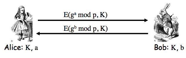 Ephemeral Diffie Hellman protocol