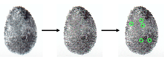 Fingerprint Enrollment