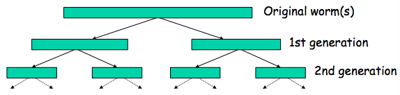 Flash Worm Replication