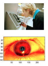 Iris Scan Process 1