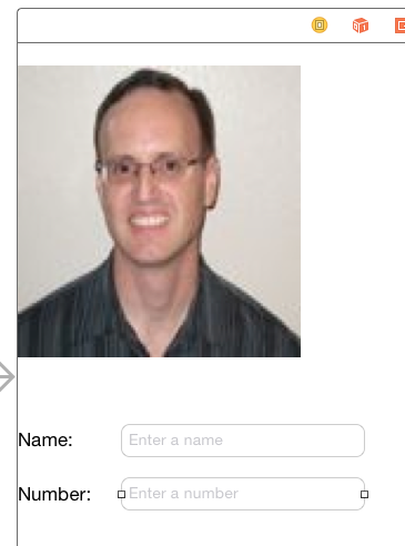 An example of a iPhone UI with an image and two textfields
