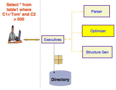 Diagram showing the various components of the RDS again