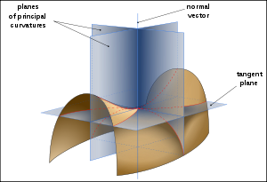 An image (courtesy Wikipedia) used to explain normal and geodesic curvature