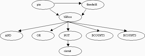 Organization Diagram