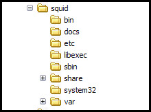 Directory Structure of Squid