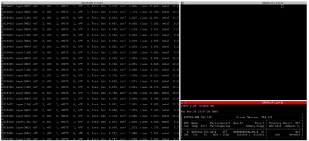 training stdout in terminal