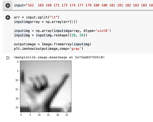 sample input image to the model