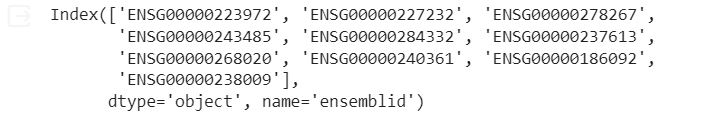 TB Heart first 10 gene names