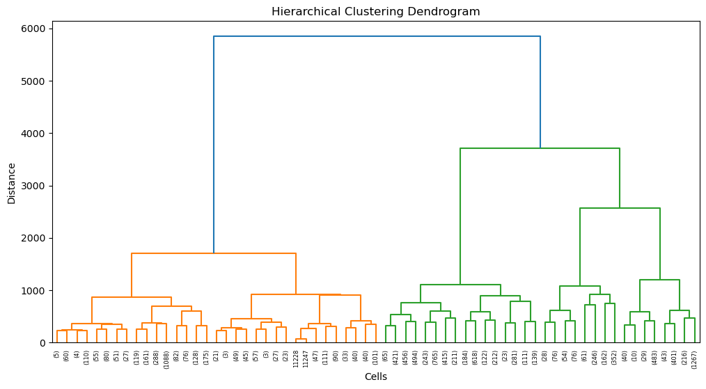 Hierarchical dendrogram