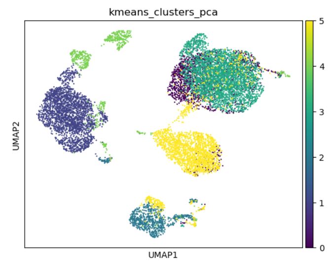 K-means XPA clusters