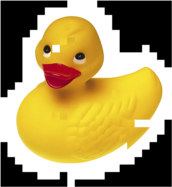 Latest Solved Duck - Type 1