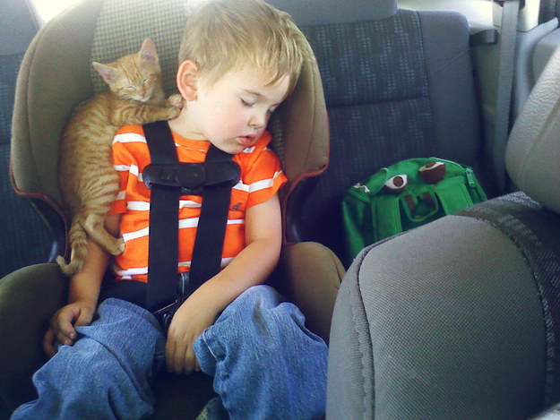 Cat Sleeping with Boy