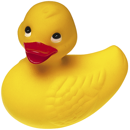 Duck - Initial