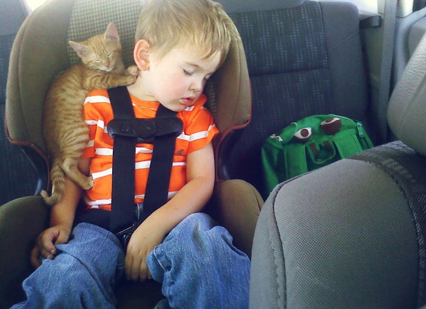 Cat Sleeping with Boy - Standard Placer