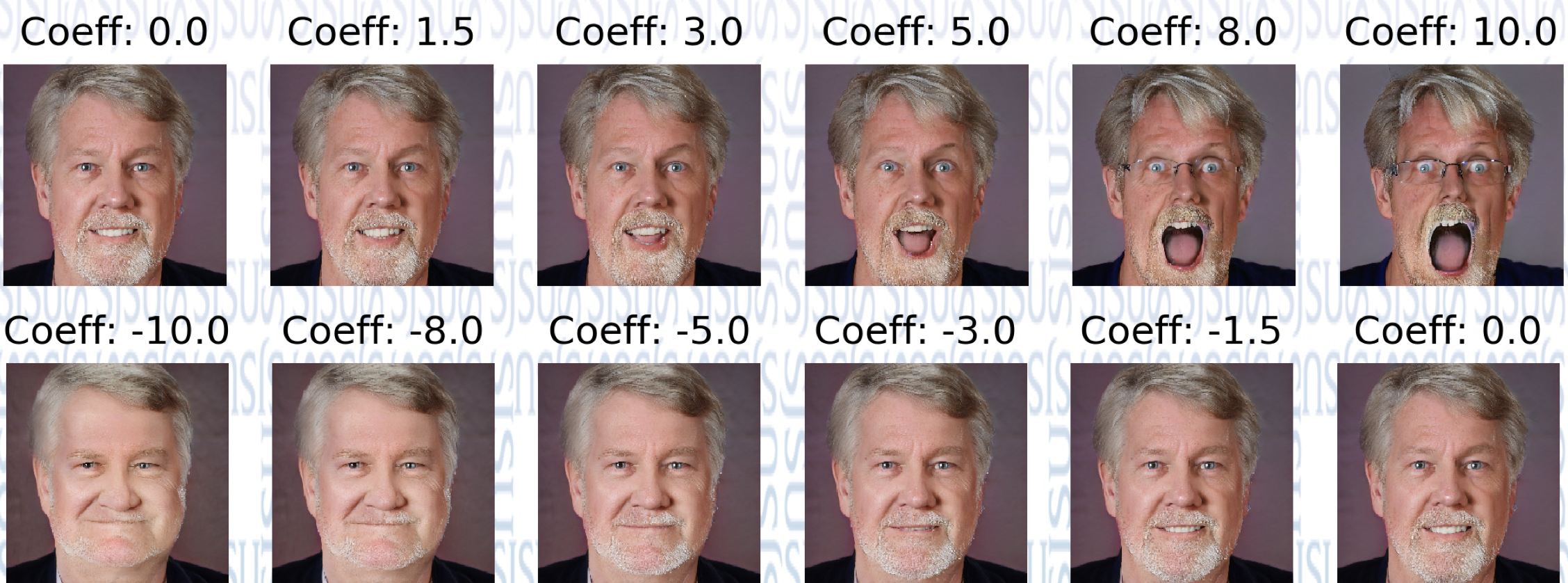 Emotion Direction Example