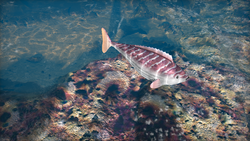 Screenshot of an OpenGL shader that simulates a fish swimming in the ocean.