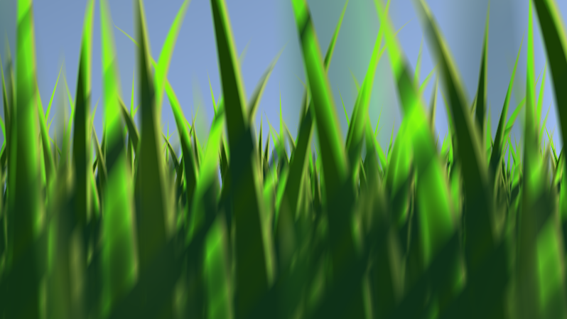 Screenshot of an OpenGL shader that simulates blades of grass.