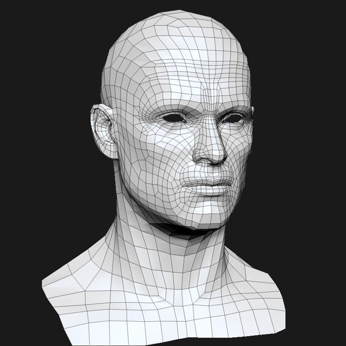 3D model of a human head comprised of splines in a mesh.