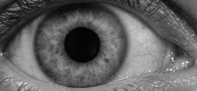 Grayscale image of a human eye cropped from left to right eye corners and upper to lower eyelids.