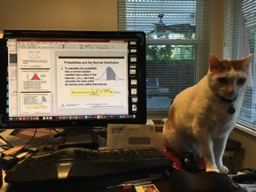Cats don't like calculus.