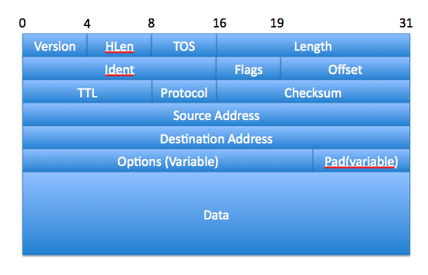 A picture of what an IP Packet Header looks like