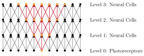 Hierarchal Transmission