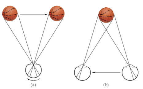 Object Versus Observer Motion