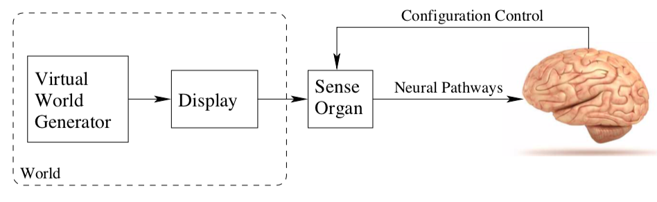VR Brain and Sense Organs