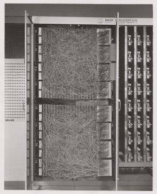 A physical model of a perceptron