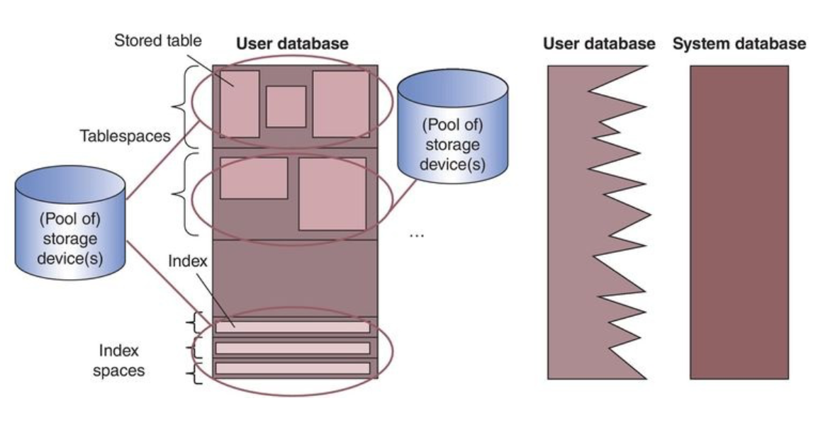 Database Organization