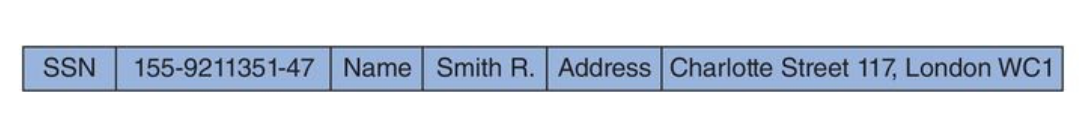 An Embedded Identification Record