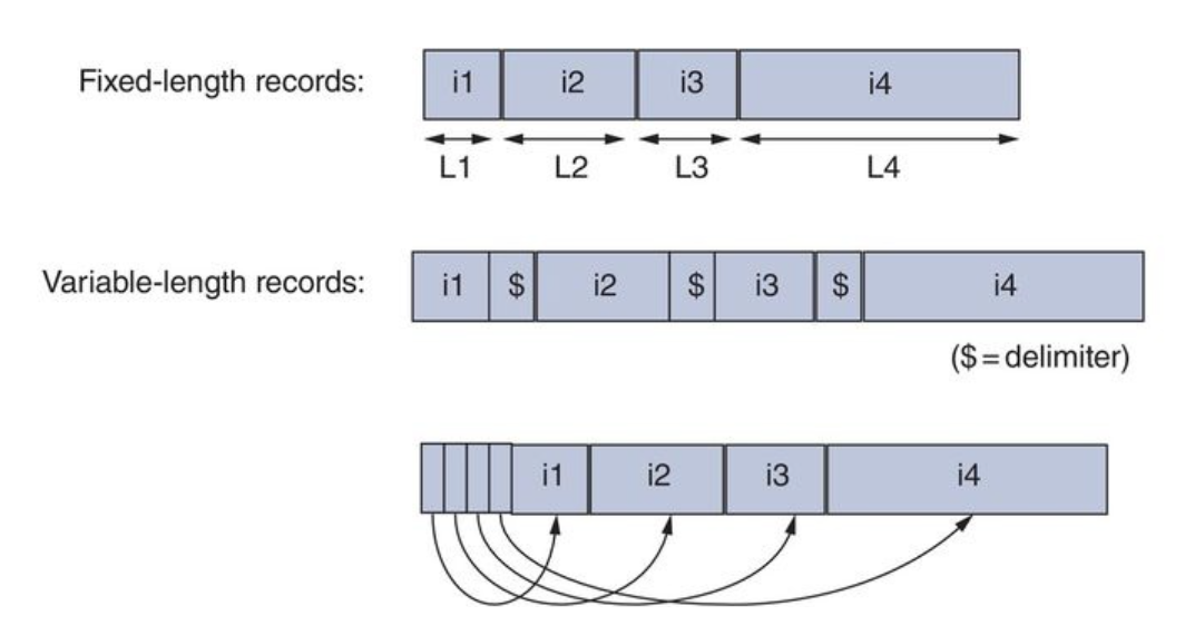 Variable Length Record