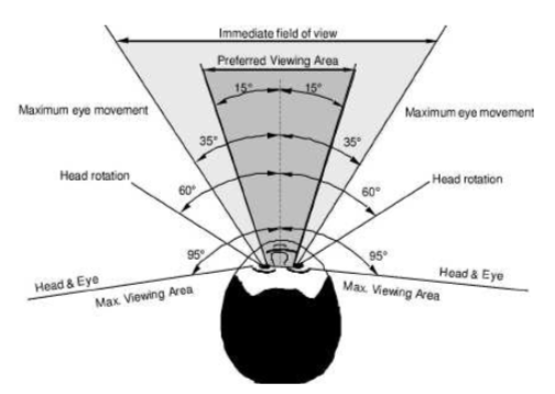 Head and Eye Motion