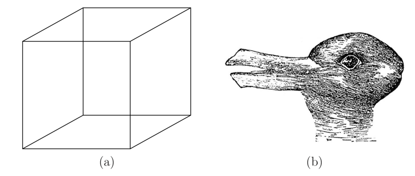 Multi-Stable Perception