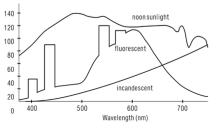 Power Distribution of Light