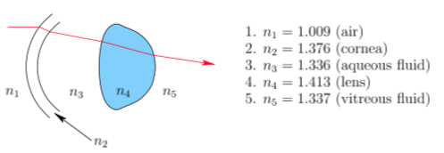 A light ray traveling through the different parts of the eye