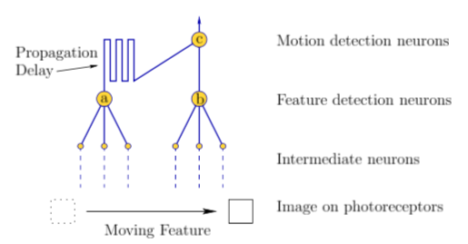 Reichardt Detector